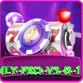 98pkr Money Pro v3.8.1